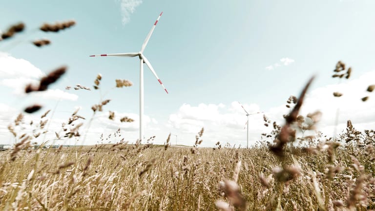 Windrad auf einem Feld (Symbolbild): Die EEG-Umlage ist ab 2021 nicht mehr der einzige Topf, aus dem der Ausbau Erneuerbarer Energien finanziert wird.