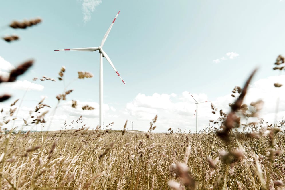 Windrad auf einem Feld (Symbolbild): Die EEG-Umlage ist ab 2021 nicht mehr der einzige Topf, aus dem der Ausbau Erneuerbarer Energien finanziert wird.