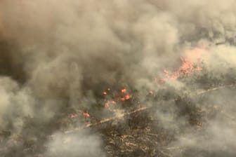 Luftbild von Fraser Island: Die Hälfte des Weltnaturerbes ist bereits zerstört.