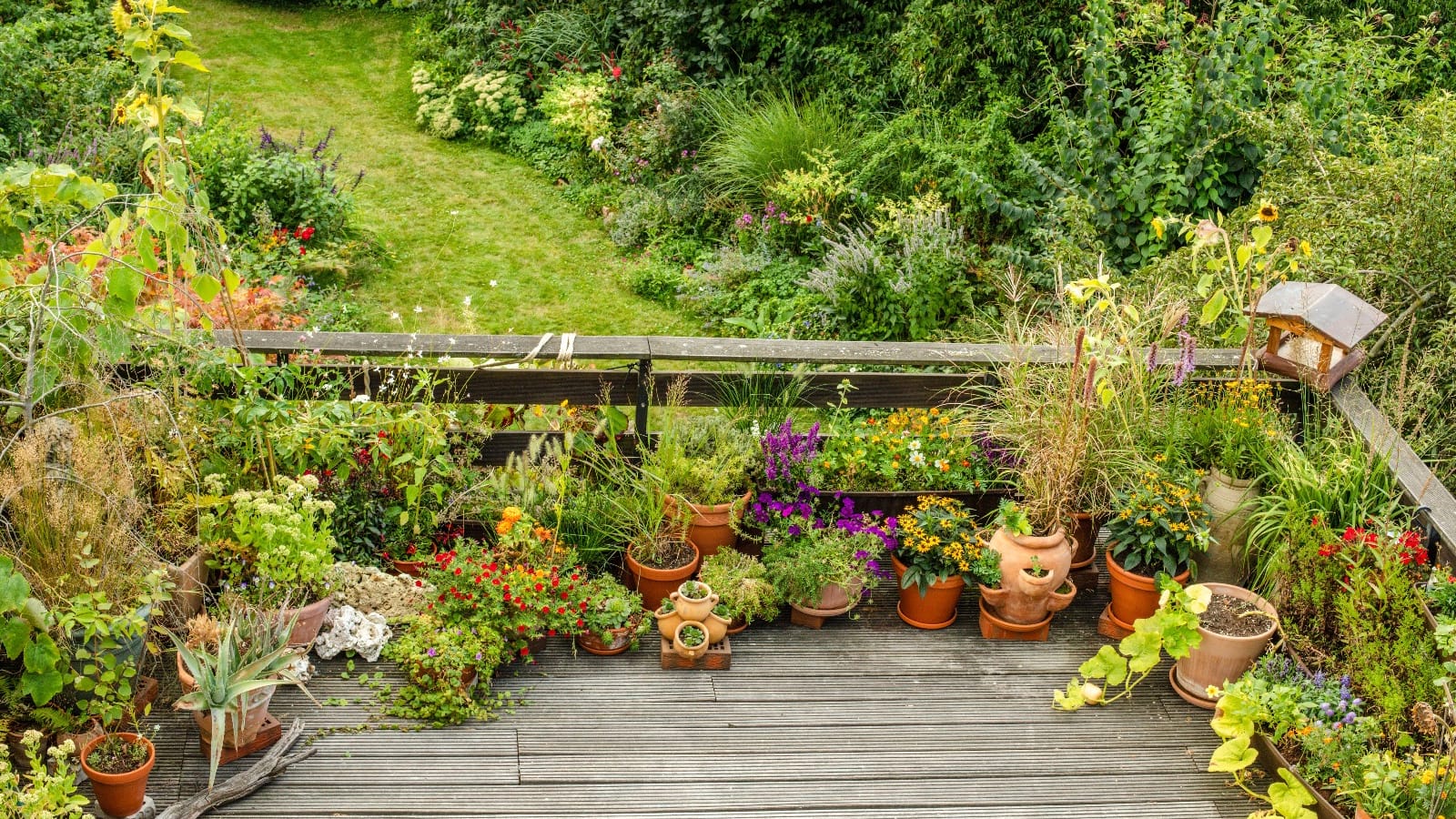 Ein natur- und insektenfreundlicher Balkon: Zahlreiche Einsendungen gingen bei der Stadt ein.