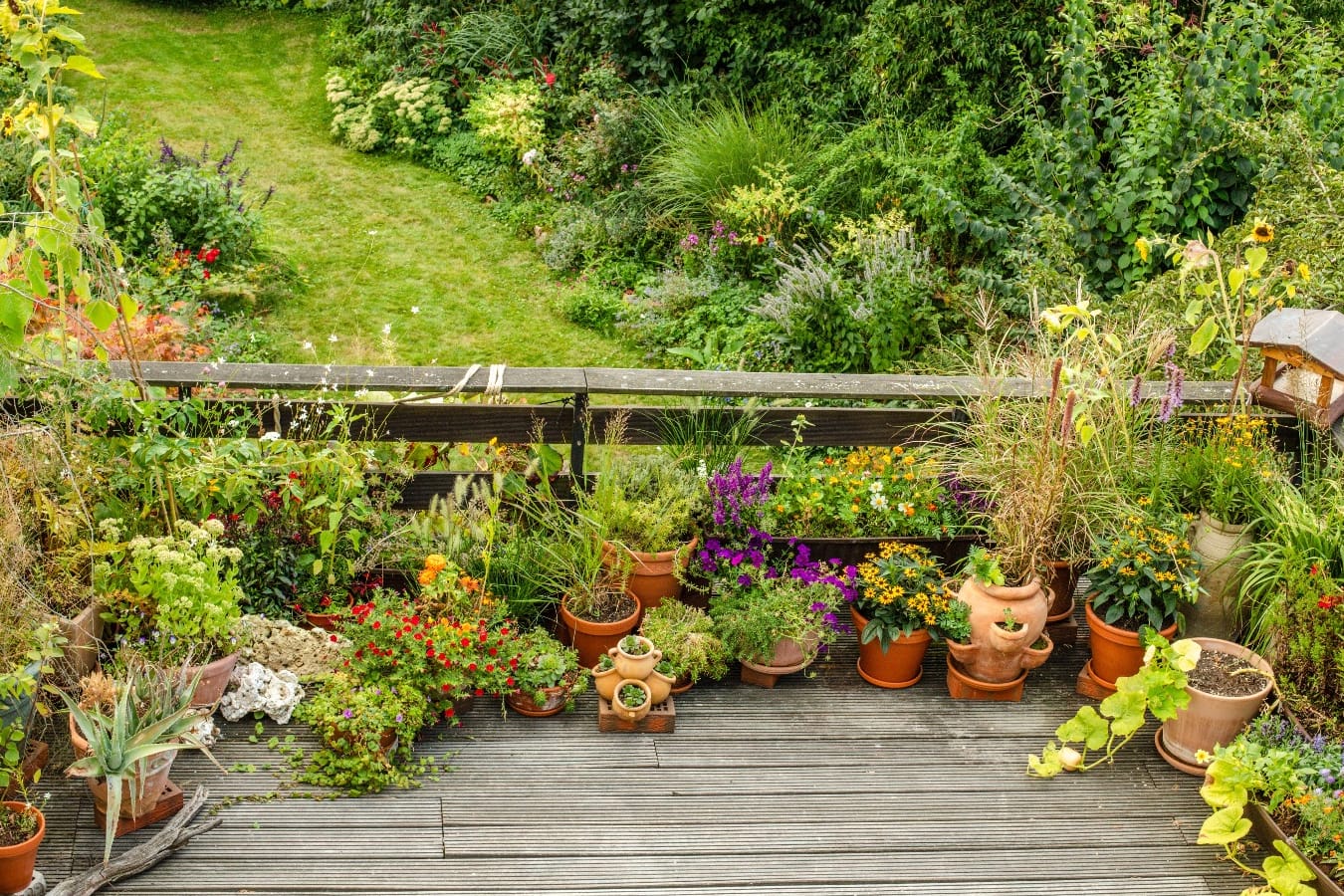 Ein natur- und insektenfreundlicher Balkon: Zahlreiche Einsendungen gingen bei der Stadt ein.