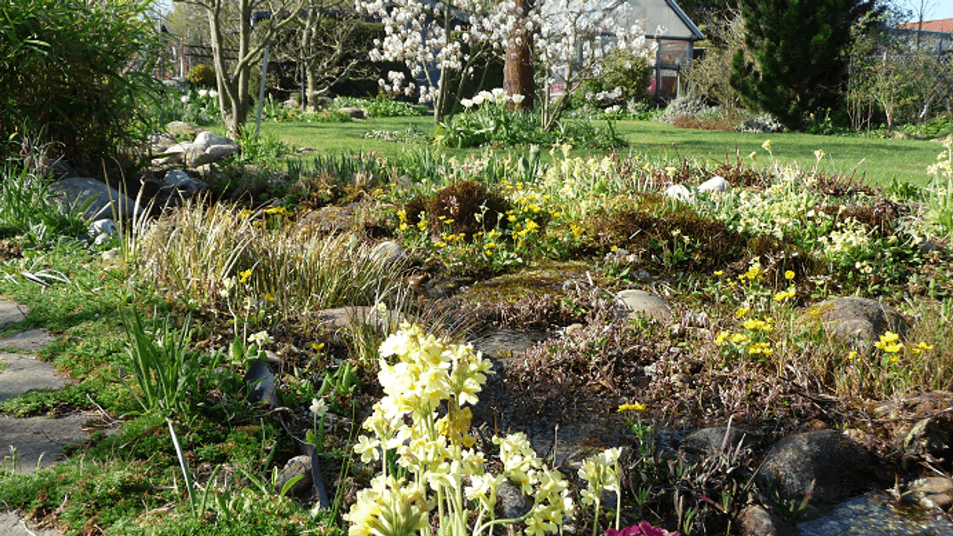 Zahlreiche Blüten in einem Wolfsburger Garten: Mit einer naturfreundlichen Gartengestaltung kann ein Beitrag zum Artenschutz geleistet werden.