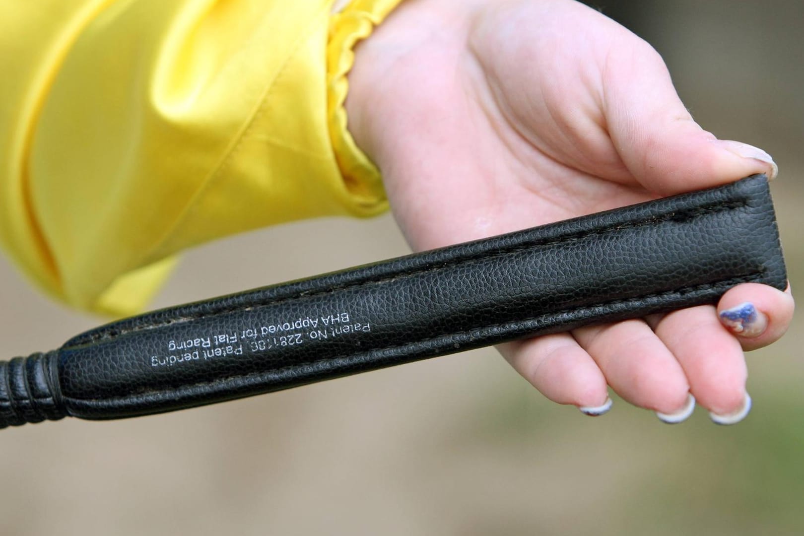 Eine Frau hält eine Reitpeitsche in der Hand (Symbolbild): Ein Hagener wollte einen Polizisten mit einer Gerte attackieren.