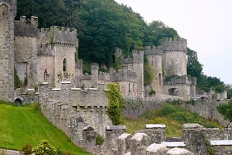 Gwyrch Castle: Hier findet aktuell das britische Dschungelcamp statt.