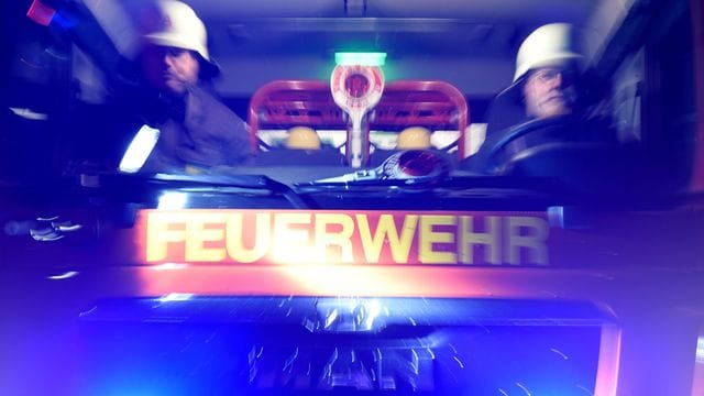 Feuerwehrmänner in einem Fahrzeug (Symbolbild): In Stuttgart ist ein Feuer in einem Altenheim ausgebrochen. Feuerwehrmänner in einem Fahrzeug (Symbolbild): In Stuttgart ist ein Feuer in einem Altenheim ausgebrochen.