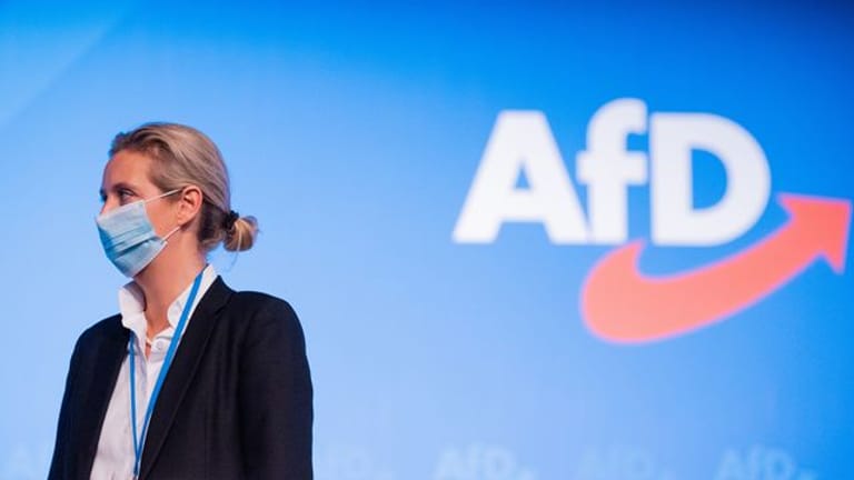 Alice Weidel (AfD)
