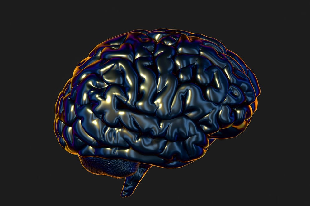 Illustration eines Gehirns