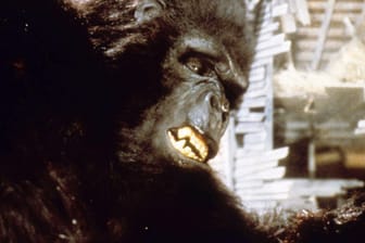 King Kong in einem Film von 1986: Auf das Erscheinen eines Riesenaffen warteten die Menschen 2020 vergebens.