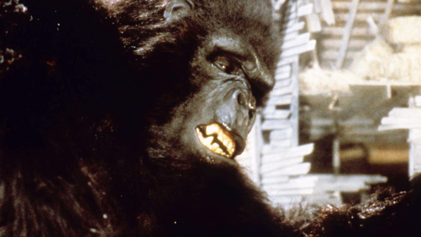King Kong in einem Film von 1986: Auf das Erscheinen eines Riesenaffen warteten die Menschen 2020 vergebens.