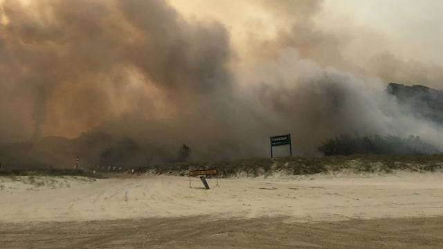 Rauch steigt in einem Waldstück auf Fraser Island auf.