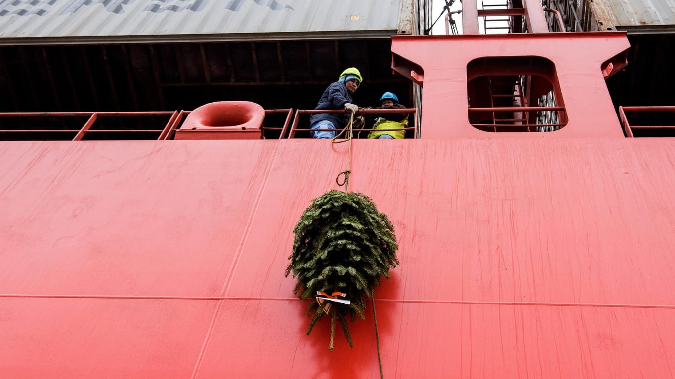 Ein Weihnachtsbaum wird im Hafen auf ein Containerschiff gezogen: Einige Bäume müssen auch über die Reling geworfen werden.