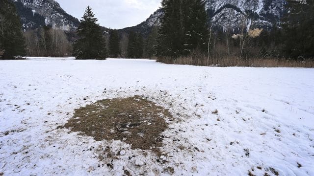 Eine kahle Stelle im Schnee markiert unterhalb des Schlosses Neuschwanstein den Platz, an dem vor einigen Tagen eine rätselhafte Stele entdeckt wurde. Eine kahle Stelle im Schnee markiert unterhalb des Schlosses Neuschwanstein den Platz, an dem vor einigen Tagen eine rätselhafte Stele entdeckt wurde.