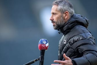 Gladbachs Trainer Marco Rose soll ein Kandidat beim BVB sein.