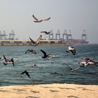 Der Hafen in der saudi-arabischen Stadt Dschidda: Ein Öltanker wurde hier von einer "externen Quelle" getroffen.