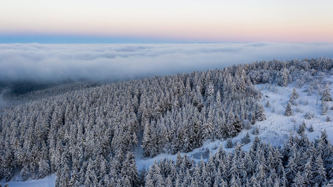 Schneebedeckter Wald: Die kommende Woche könnte für weiße Weihnachten sorgen (Symbolbild).