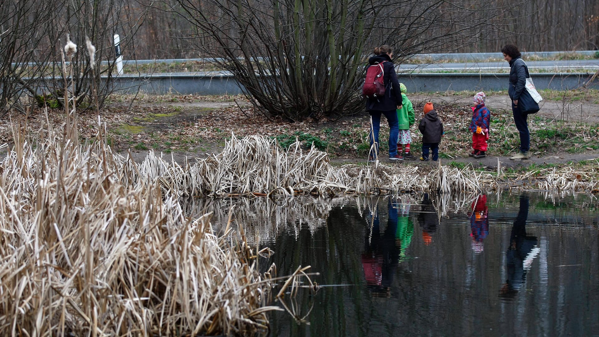 Spaziergänger am Waldhausteich in Erfurt: Eine Passantin hat im Erfurter Steigerwald einen Hundekadaver ohne Kopf gefunden.