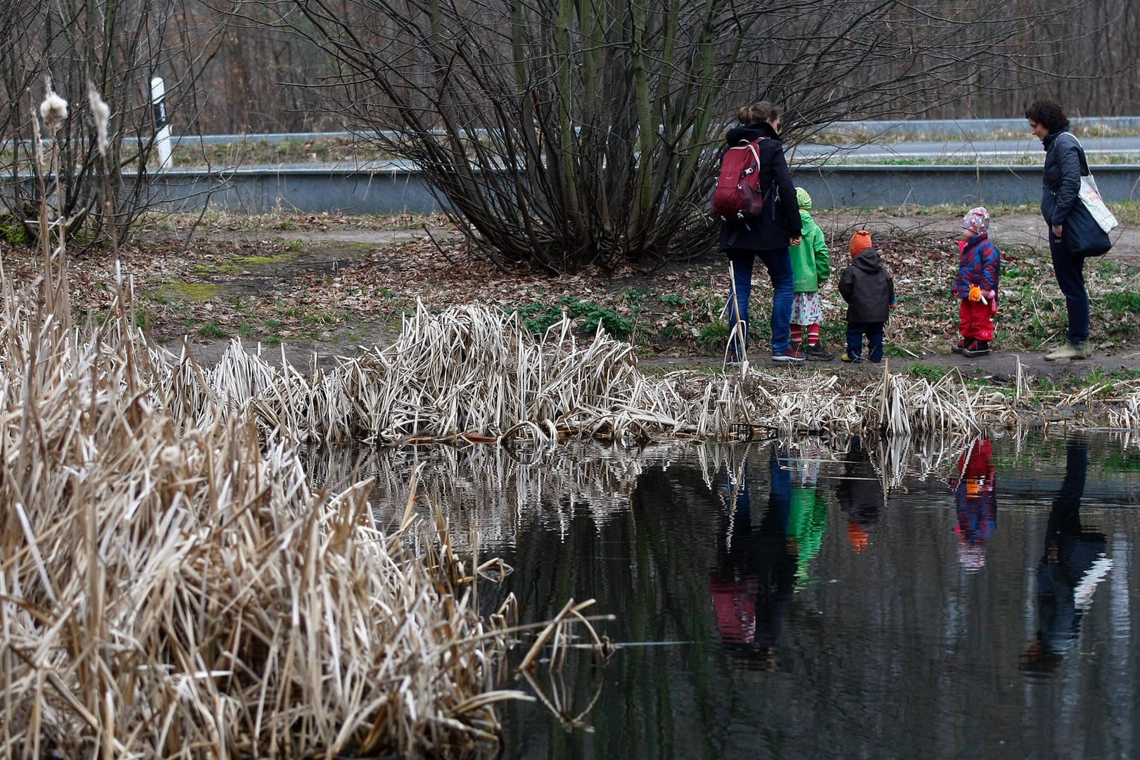 Spaziergänger am Waldhausteich in Erfurt: Eine Passantin hat im Erfurter Steigerwald einen Hundekadaver ohne Kopf gefunden.