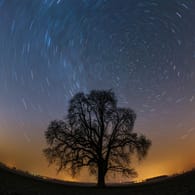 Sternenhimmel in der Langzeitbelichtung: 2021 sind spannende Himmelsereignisse zu sehen.