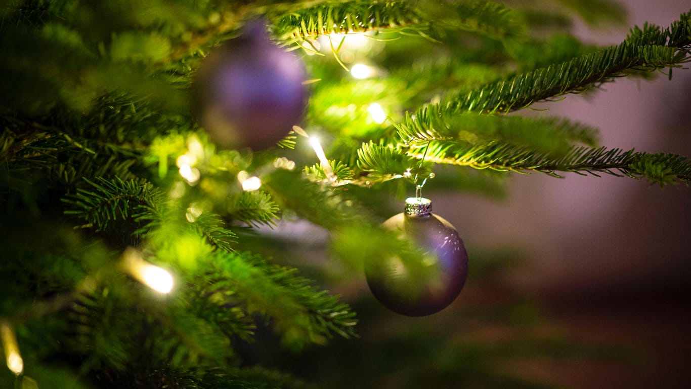 An einem Weihnachtsbaum hängen lilafarbene Kugeln (Symbolbild): Der VFG Bonn möchte Wohnungslosen eine Freude zu Weihnachten bereiten.