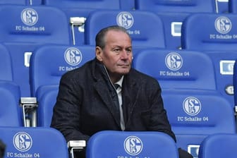 Huub Stevens: Übereinstimmenden Medienberichten zufolge wird der Niederländer zum vierten Mal Trainer des FC Schalke 04.