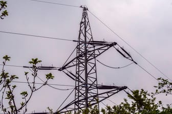 Stromleitungen in der Dellbrücker Heide (Symbolbild): In Köln hat es eine Stromstörung gegeben.
