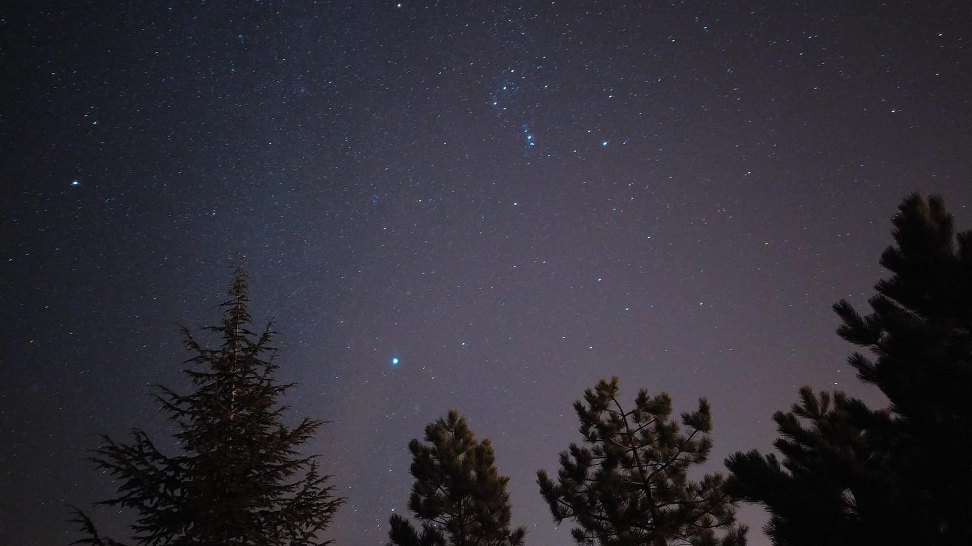 Orion-Gürtel: Betelgeuze oder Alpha Orionis gehört zu den hellsten Sternen am Firmament.