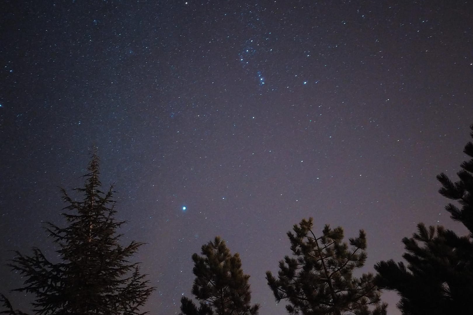 Orion-Gürtel: Betelgeuze oder Alpha Orionis gehört zu den hellsten Sternen am Firmament.