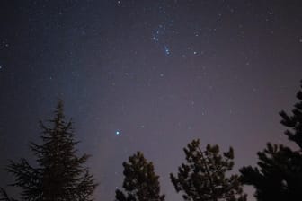 Orion-Gürtel: Betelgeuze oder Alpha Orionis gehört zu den hellsten Sternen am Firmament.