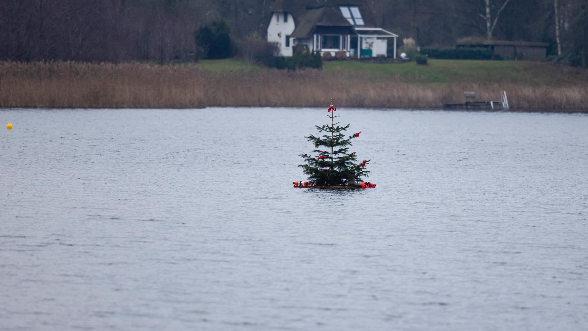 Der Weihnachtsbaum: Zwei Kanufahrer kenterten, als sie diesen vorm Abtreiben retten wollten.