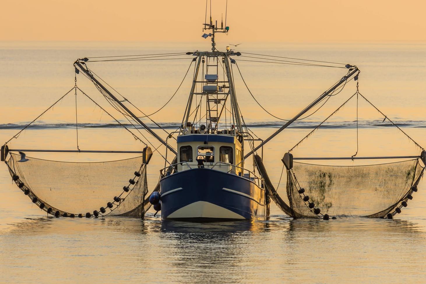 Fischerboot in der Nordsee: Die EU hat offenbar einen konkreten Vorschlag zur Lösung des Fischerei-Streits aus London bekommen. (Symbolfoto)