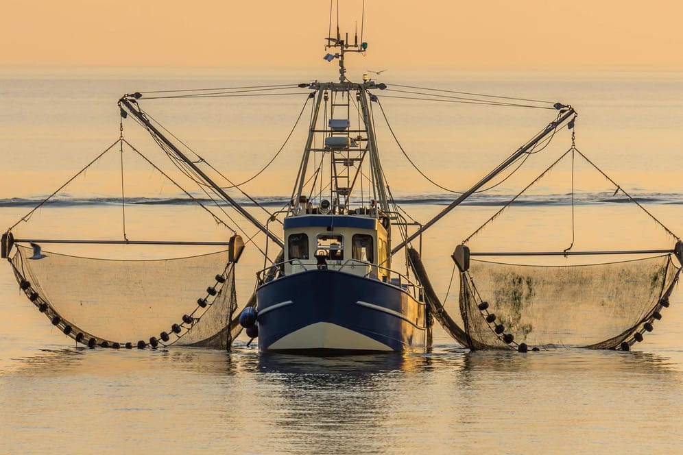 Fischerboot in der Nordsee: Die EU hat offenbar einen konkreten Vorschlag zur Lösung des Fischerei-Streits aus London bekommen. (Symbolfoto)