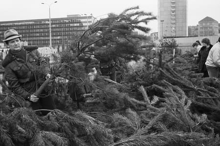 Weihnachten 1990: Plastikbaum statt..