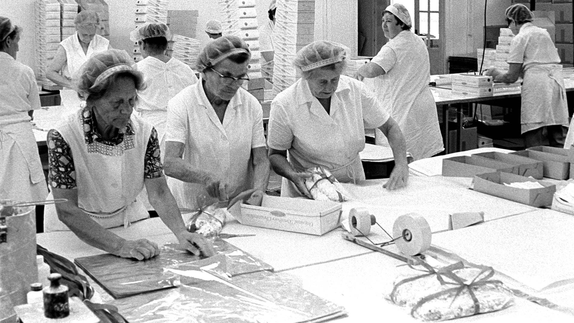 DDR-Stollenproduktion: In einer Dresdener Bäckerei werden die Christstollen in Kartons verpackt. (Aufnahme vom 1.11.1986)