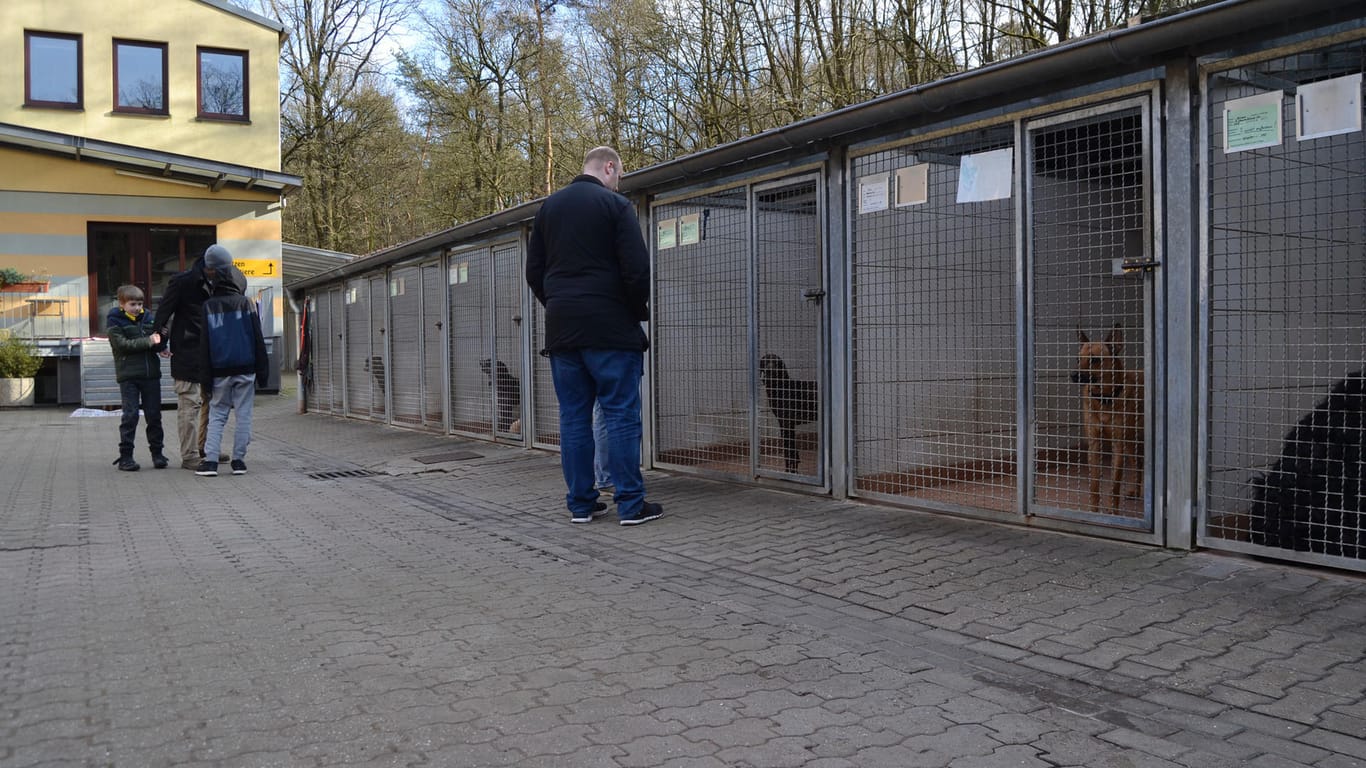 Besucher stehen vor den Hundezwingern: Im Tierheim in Köln-Dellbrück ist eine vorherige Anmeldung Pflicht