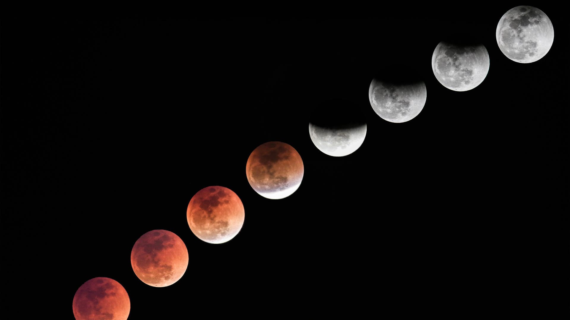 Der Mond: In wenigen Jahren könnte menschliches Leben auf ihm möglich sein (Symbolbild).