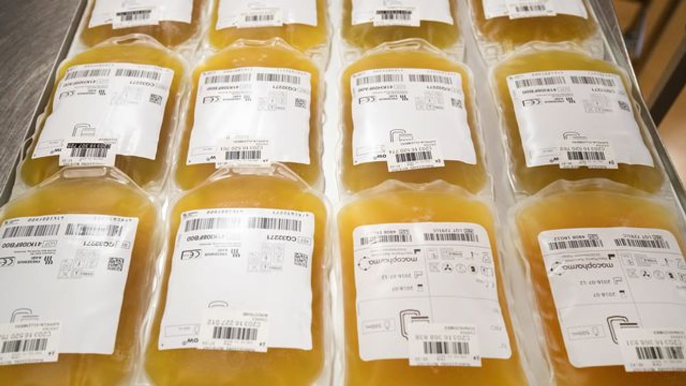 Beutel mit Blutplasma liegen in der Herstellungsabteilung des DRK-Blutspendedienst vor dem Gefriergerät.