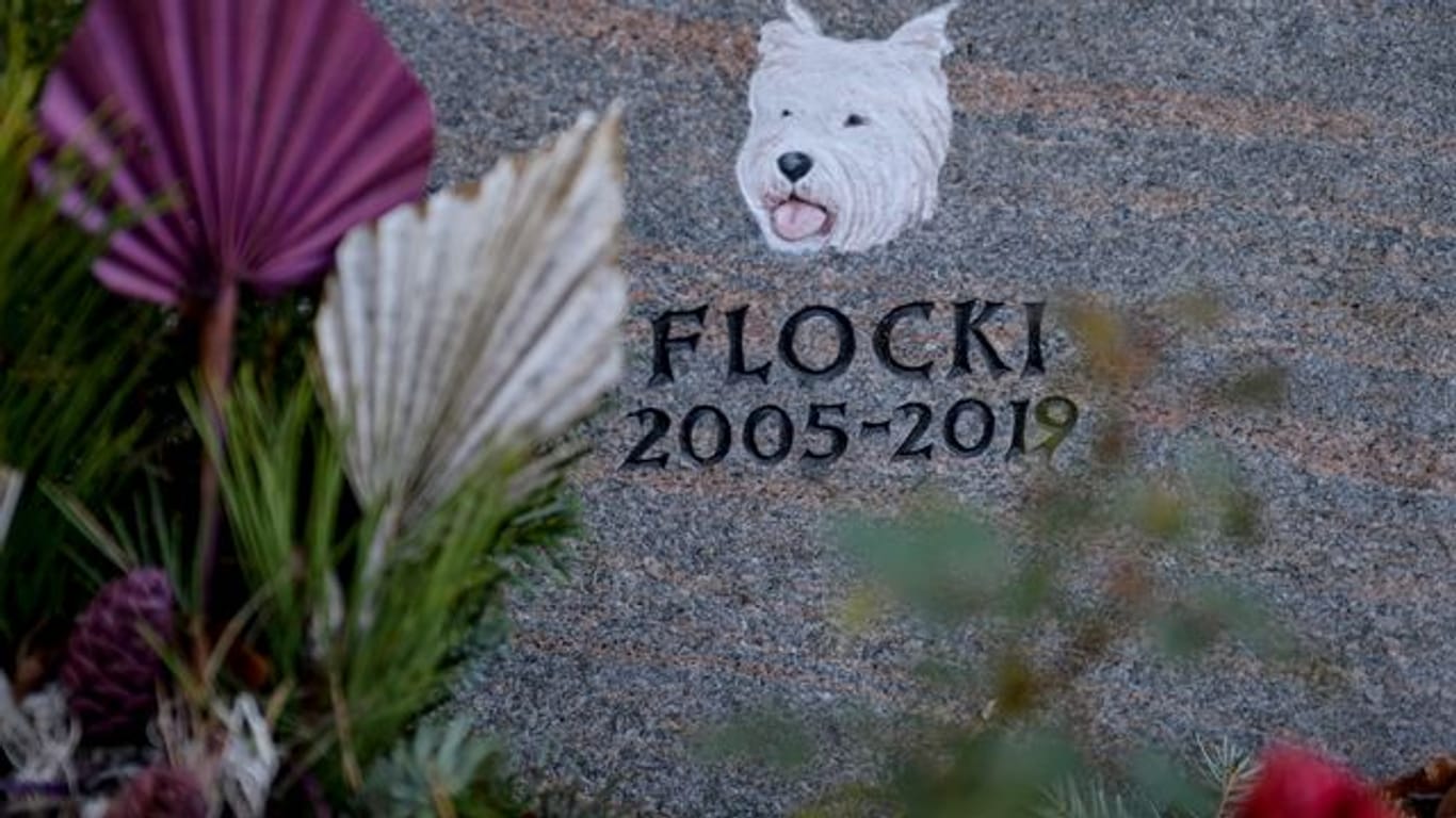 Das Grab eines Hundes mit dem Namen Flocki ist auf dem Ohlsdorfer Friedhof mit Blumen geschmückt: Der Terrier wurde als erstes Tier in dem neuen Themengarten bestattet.
