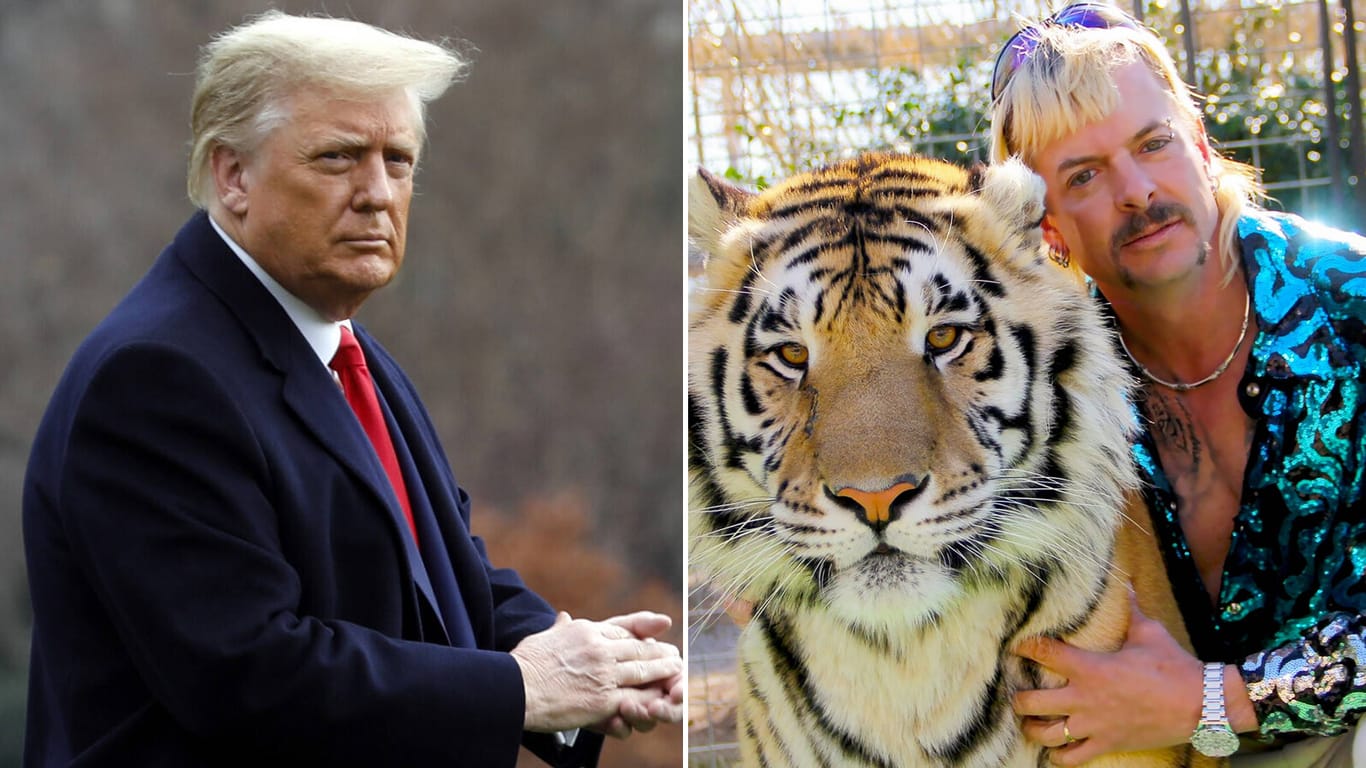 Donald Trump und Joe Exotic: Begnadigt der US-Präsident den TV-Star?