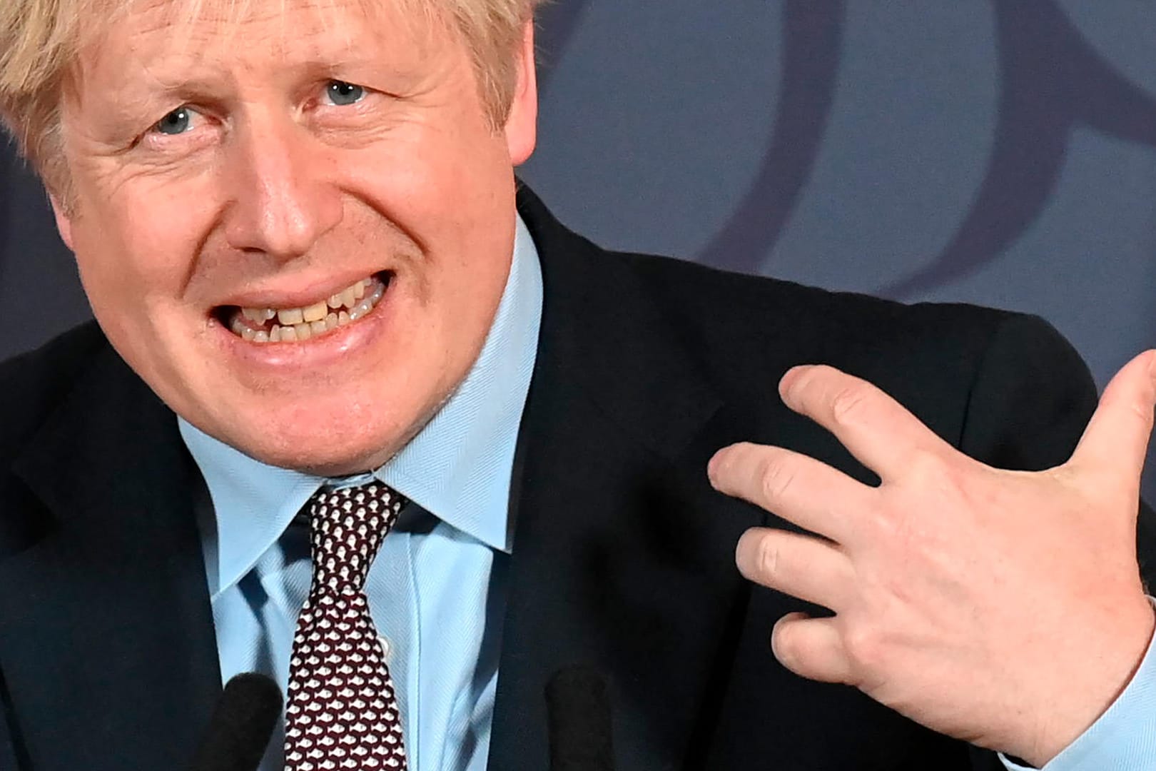 Boris Johnson spricht nach dem Durchbruch in den Brexit-Verhandlungen bei einer Pressekonferenz in der Downing Street: Seine Krawatte zieren Fische – der größte Streitpunkt bei den Verhandlungen.