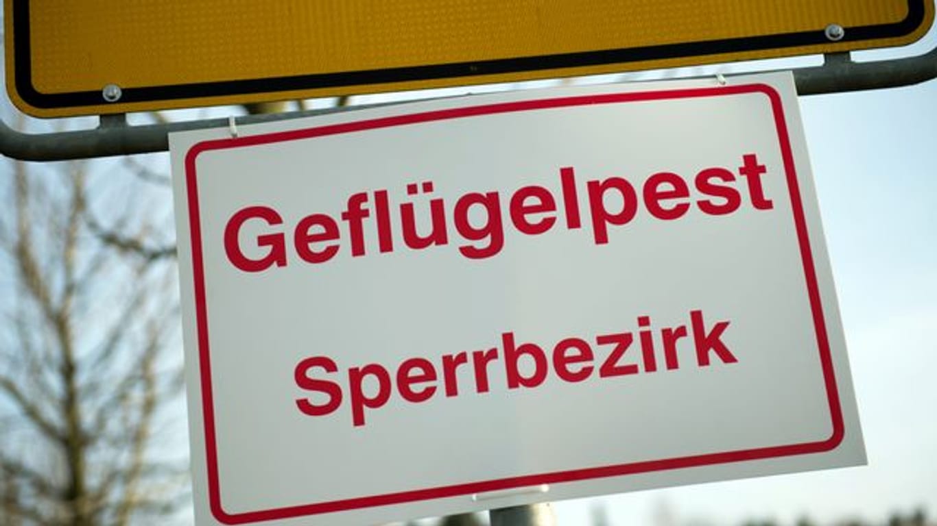 "Geflügelpest Sperrbezirk": Ortseingangsschild in Dresden.