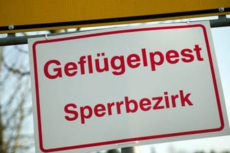 "Geflügelpest Sperrbezirk": Ortseingangsschild in Dresden.