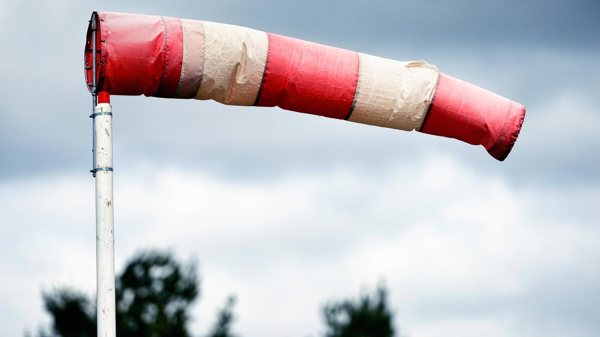 Starker Wind: Sturmtief "Hermine" nimmt Kurs auf Deutschland. (Symbolbild) Starker Wind: Sturmtief "Hermine" nimmt Kurs auf Deutschland. (Symbolbild)