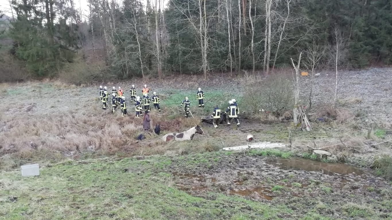 Feuerwehreinsatz in Hilders: Drei Pferde sind in einem Schlammloch stecken geblieben.