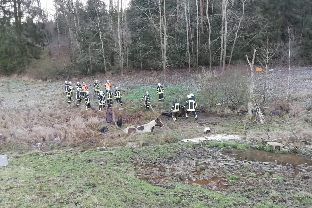 Feuerwehreinsatz in Hilders: Drei Pferde sind in einem Schlammloch stecken geblieben.