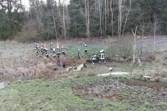 Feuerwehreinsatz in Hilders: Drei Pferde sind in einem Schlammloch stecken geblieben.