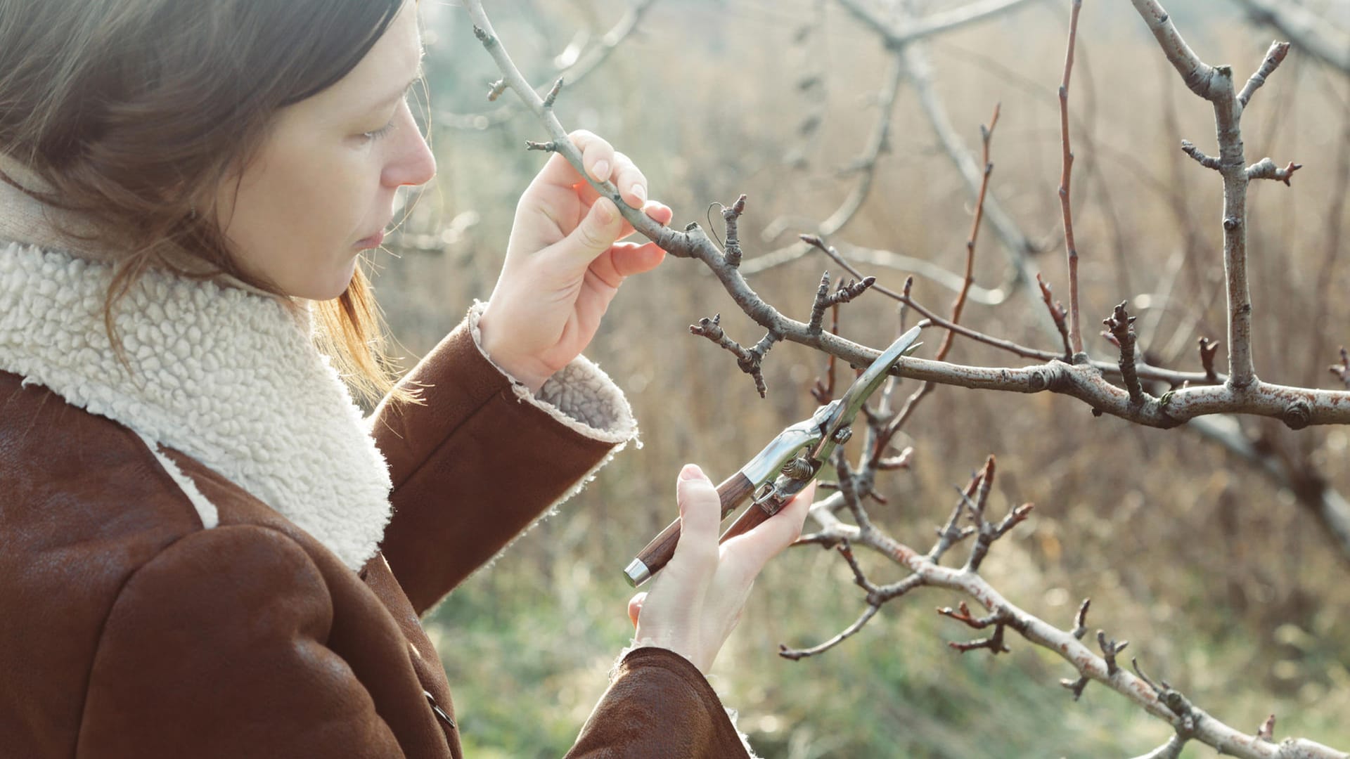 Gartenarbeit im Winter: Wer das ganze Jahr über Aufgaben im Garten einplant, der ist bestens vorbereitet.