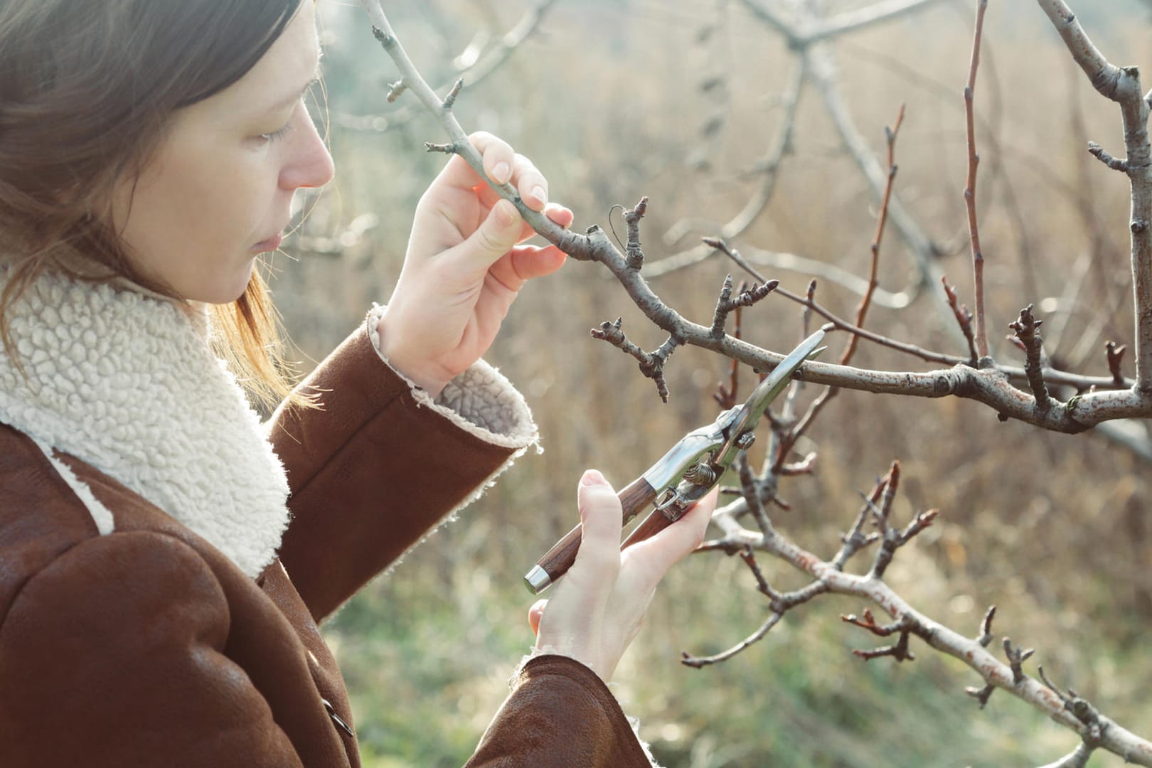 Gartenarbeit im Winter: Wer das ganze Jahr über Aufgaben im Garten einplant, der ist bestens vorbereitet.