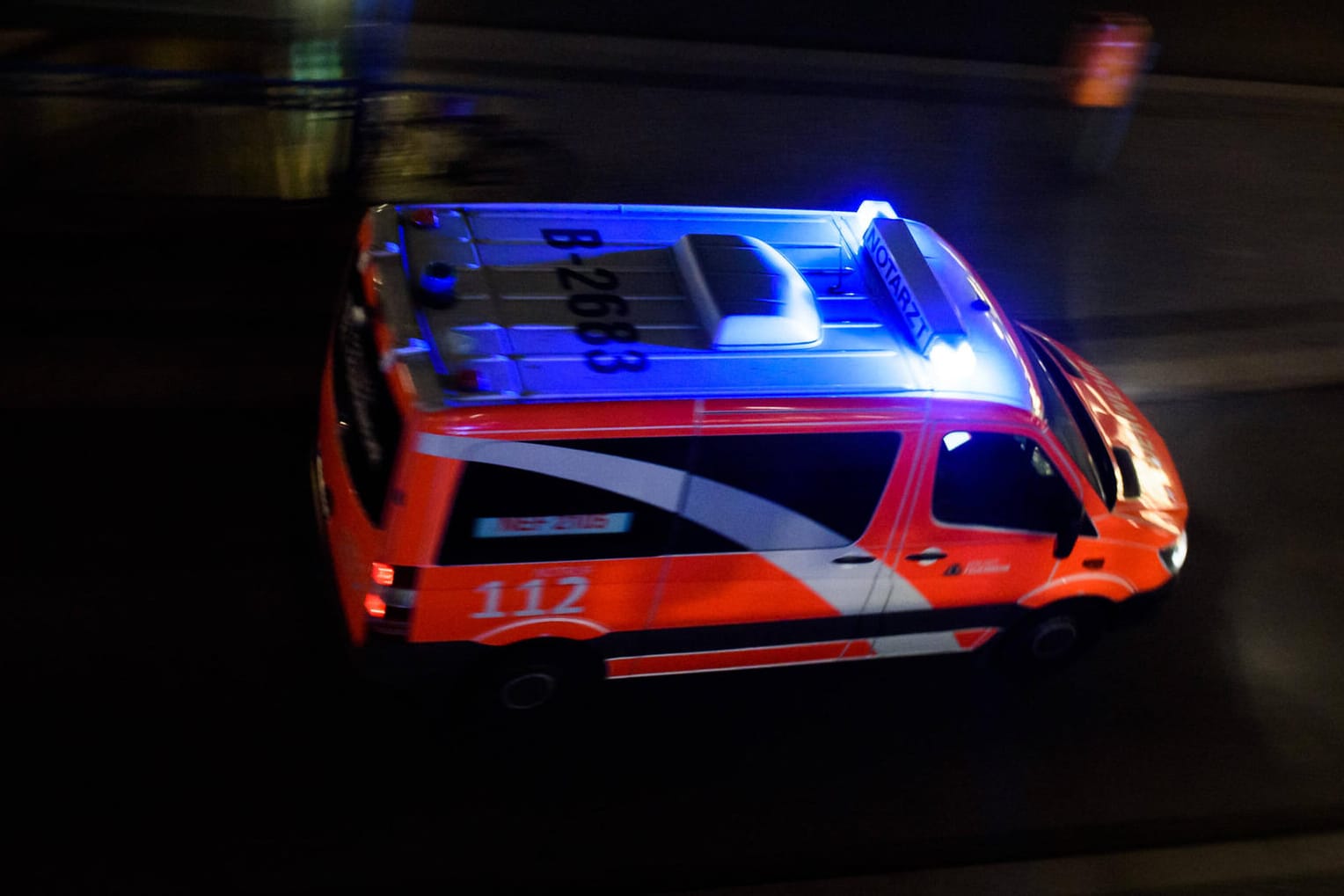 Notarzt im Einsatz: In Baden-Württemberg sind drei Pferde von einem Auto erfasst worden und gestorben.