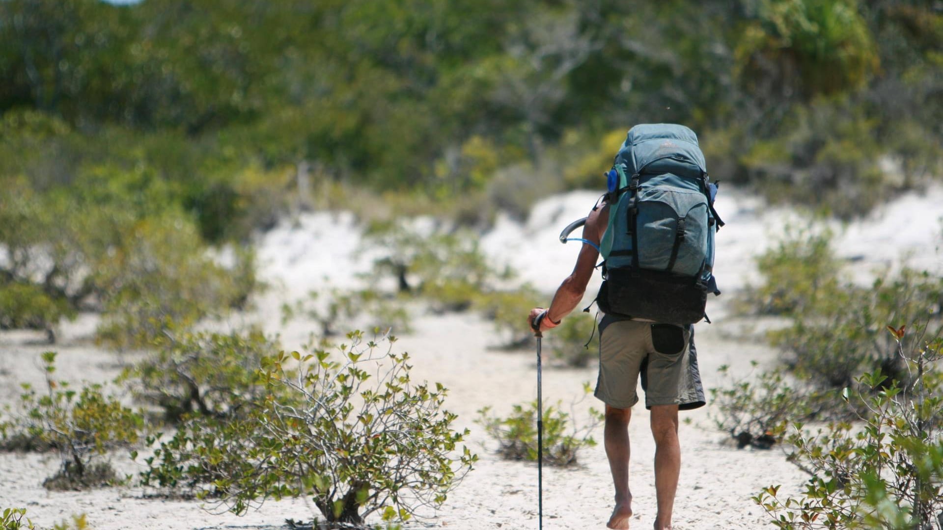 Backpacker: Die drei liefen 50 Kilometer zu Fuß (Symbolbild). Backpacker: Die drei liefen 50 Kilometer zu Fuß (Symbolbild).