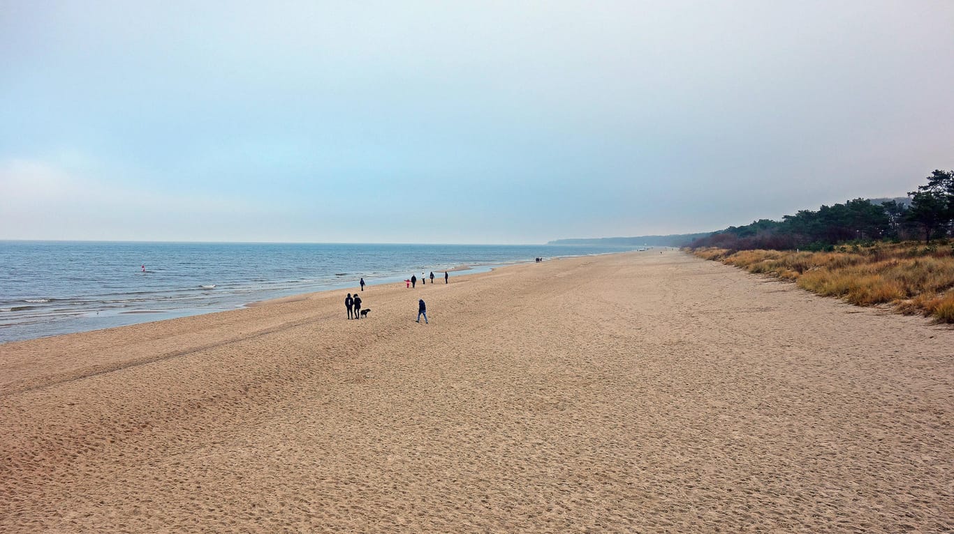 Ein Strandabschnitt in Mecklenburg-Vorpommern: Für eine Besucherin aus Lübeck wurde ein Spaziergang richtig teuer.